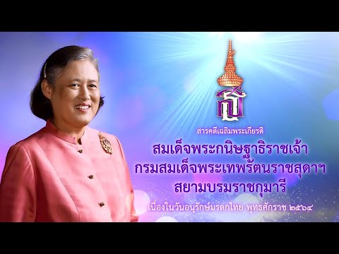 ภาพประกอบ วีดิทัศน์