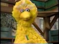 Sesame Street Rosita S Favorite Crayon