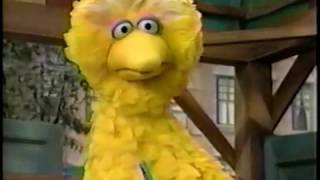 Sesame Street - Rosita's Favorite Crayon