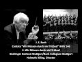 J. S. Bach - Cantata "Wir Müssen durch viel Trübsal" BWV 146 (2/5)