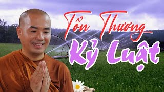 Tổn Thương Và Kỷ Luật - sư Minh Niệm | Nghe Để Thấm