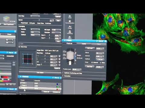 Multi-Dimensional Acquisition - Z- stack