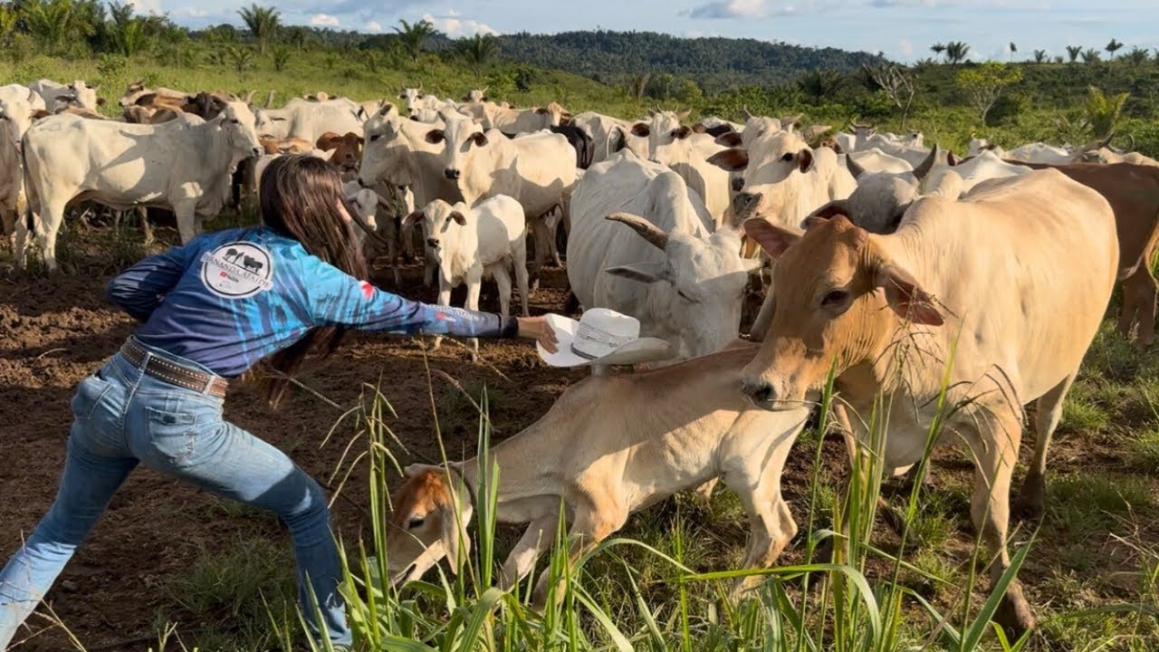 IT WAS THE WAY TO FACE THE WILD COWS 😰