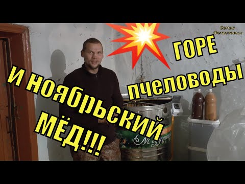 Горе ПЧЕЛОВОДЫ и ноябрьский МЁД!