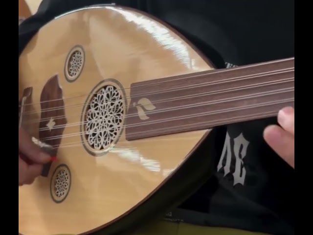 عود كهربائي - ثروت صابر