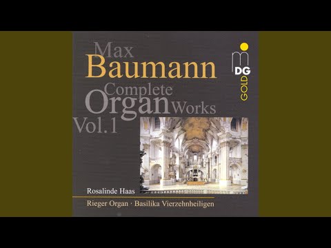 Psalmi für Orgel, Op. 67, No. 2: Psalm 6. Pesante un poco agitato
