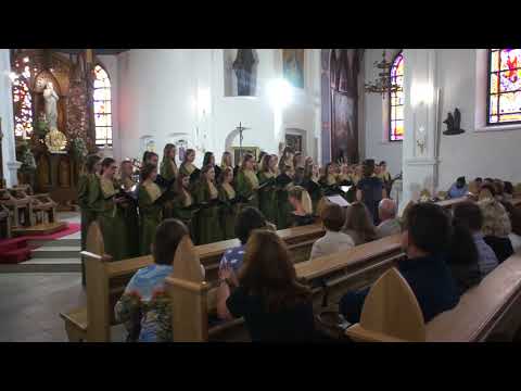 Koślawe zniekształcenie kończyn dolnych masażu wideo Wpadać zboże między palcami