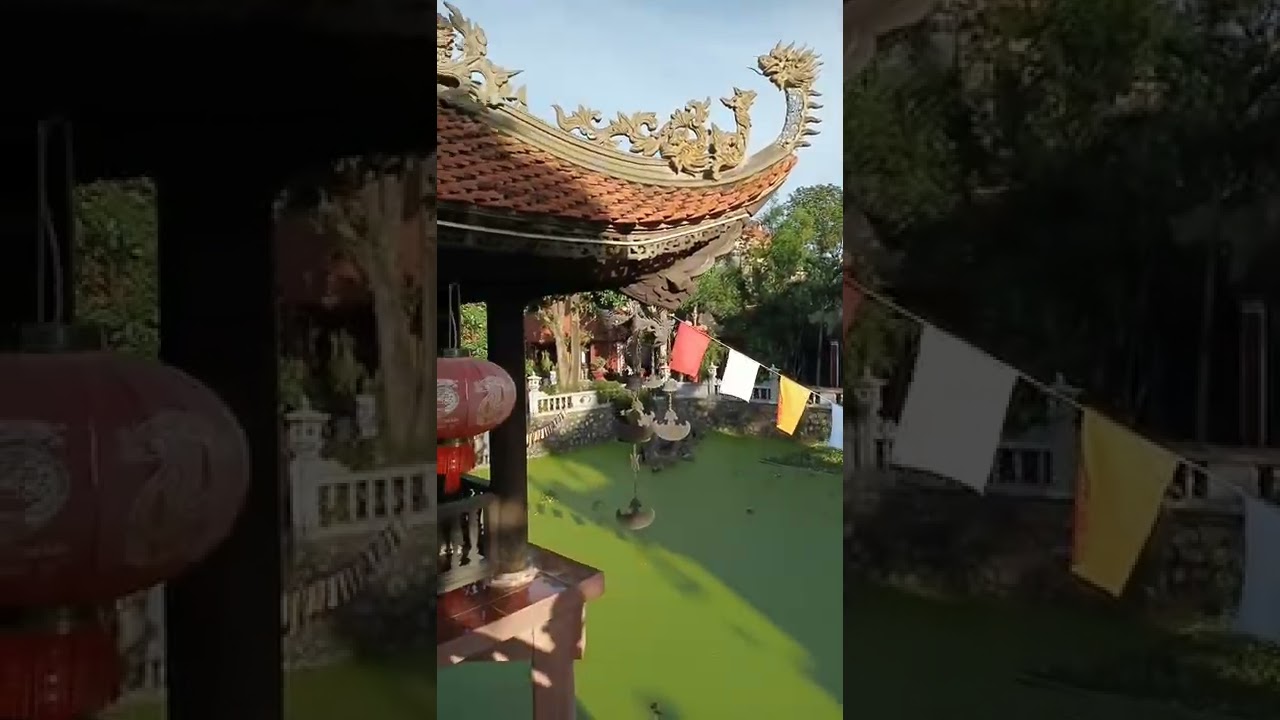 YouTube Short thumbnail