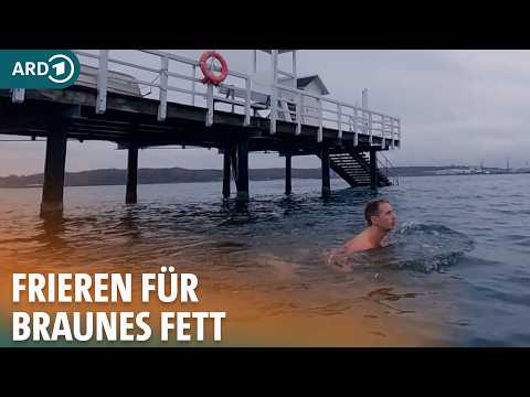 Braunes Fett: Der natürliche Fettverbrenner im Körper I ARD Gesund