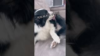 何故舐めるか不明