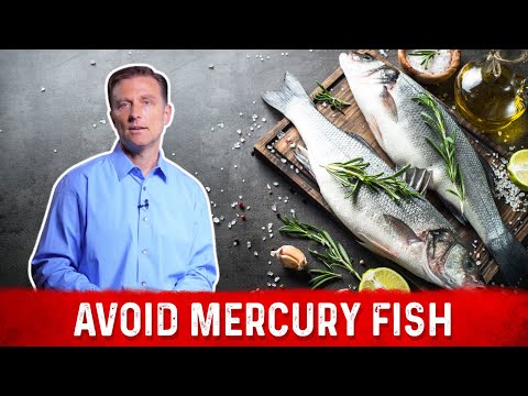 Mercury Fish List: What Fish Should I Eat to Avoid Mercury? – Dr. Berg