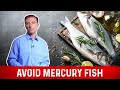 Mercury Fish List: What Fish Should I Eat to Avoid Mercury? – Dr. Berg