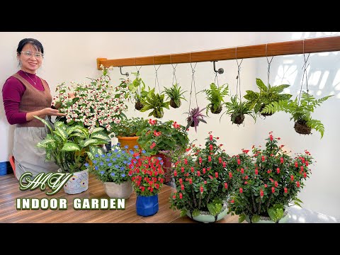 Soilless Hanging Gardens: An Effortless Way to Brighten Any Corner of Your Home