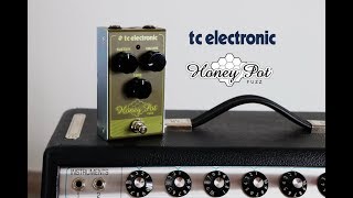 TC Electronic - Honey Pot FUZZ