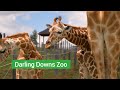 Darling Downs Zoo // Toowoomba Region