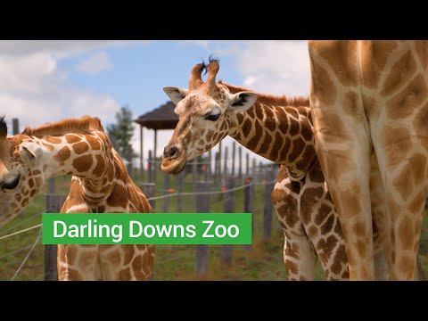 Darling Downs Zoo