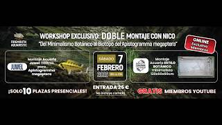 🔴 DIRECTO: Workshop | Doble Montaje de Acuarios 🌑 CEARA | APISTOGRAMMA MEGAPTERA