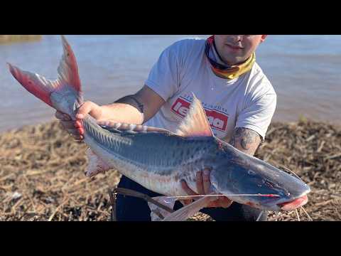 TREMENDA PESCA DE PATI GIGANTES EN VILLA CONSTITUCIÓN - SANTA FÉ