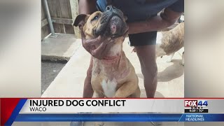 Waco pet owner demands answers on her dogs wound from city animal shelter