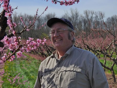 Spotlight on Bittner Singer Orchards