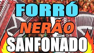 Forró nerão sanfonado 2026, fogueira, São João, sertão, nordeste, xote, nerão, melody, song,dance