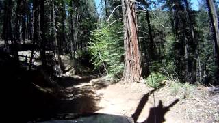 preview picture of video '4Runner passing a forest road near Little Nellie Falls'