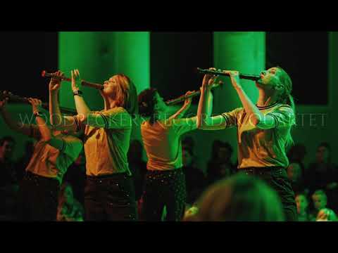 Woodpeckers Recorder Quartet - Kvittrande Klanger promo video
