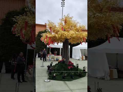 Templo budista Fo Guang Shan Nan Tien em Berkeley, Nova Gales do Sul