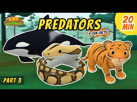 Witness21 Editor  2021 02 25