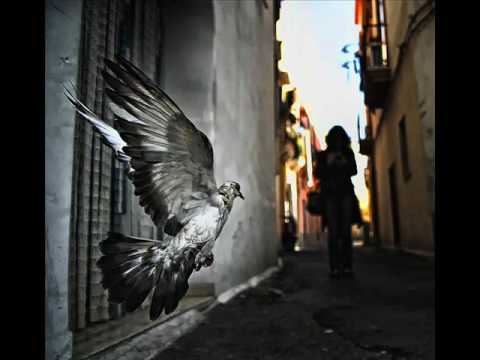 Víctor Waill y su Grupo Panela - La Tortolita