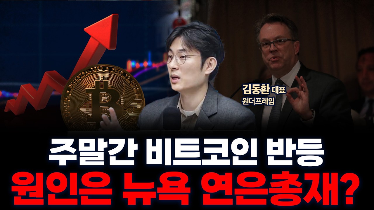 코인 조정받는 동안, 스트래티지•비트마인은 더 샀다 | 원더프레임 김동환 대표 [인뎁스60]
