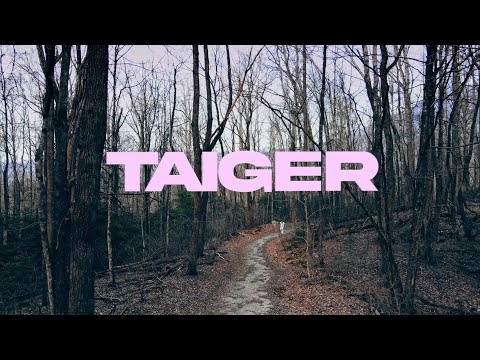 El Taiger - Carta Magna ( Video Oficial ) Los Britanicos