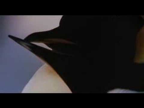 Emilie Simon--The Frozen World