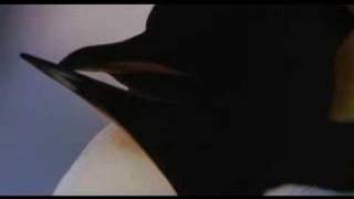 Emilie Simon--The Frozen World