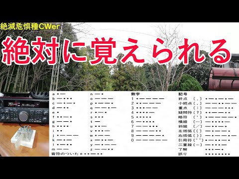 光るモールス信号。