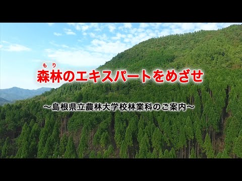 島根県立農林大学校林業科　学校案内「森林（もり）のエキスパートをめざせ」