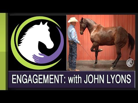 Engaging Your Horse (From a Western Perspective) with John Lyons