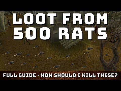 Loot From 500 Rats! [Runescape 3] Complete guide & Tips - Episode #7