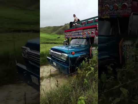 la chiva torres por el municipio de Amalfi Antioquia,  un espectáculo de paisaje #campo #chivas