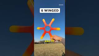 Download lagu Have you ever seen these boomerangs? mp3 Download lagu Have you ever seen these boomerangs? mp3