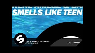 Rene Amesz & Baggi Begovic - Smells Like Teen Spirit