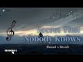 Secret That Nobody Knows Slowed Version