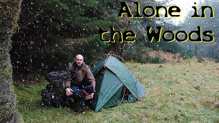Solo Camping With Wild Animals In The Woods | Vaude Terra Hogan 2p