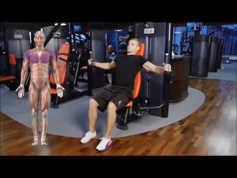 100 Gym Exercises - Workouts Video