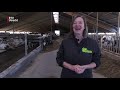 BBB-kandidaat Elly van Wijk wil meer aandacht voor platteland [RTV Utrecht]
