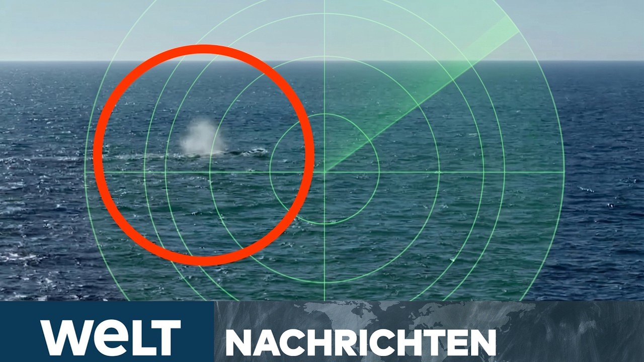 NORDSEE: Erstes Lebenszeichen von Timmy! Darum sendet der Tracker wahrscheinlich so selten! | STREAM