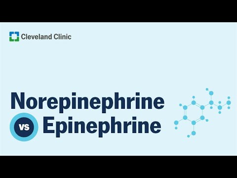 Norepinephrine vs. Epinephrine: What’s the Difference?