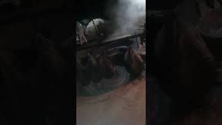 Download lagu video jilat jilat biji mp3 Download lagu video jilat jilat biji mp3