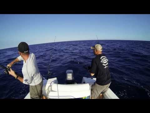 Koenig Bros Saltwater Fishing - 01-28-2014 Mixed Bag