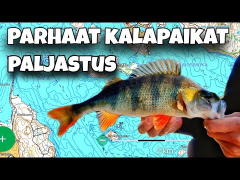 PALJASTUS | KUINKA LÖYDÄT PARHAAT KALAPAIKAT KARTALTA | GOOGLE SATELLIITTIKARTAT | KARTTASELAIN
